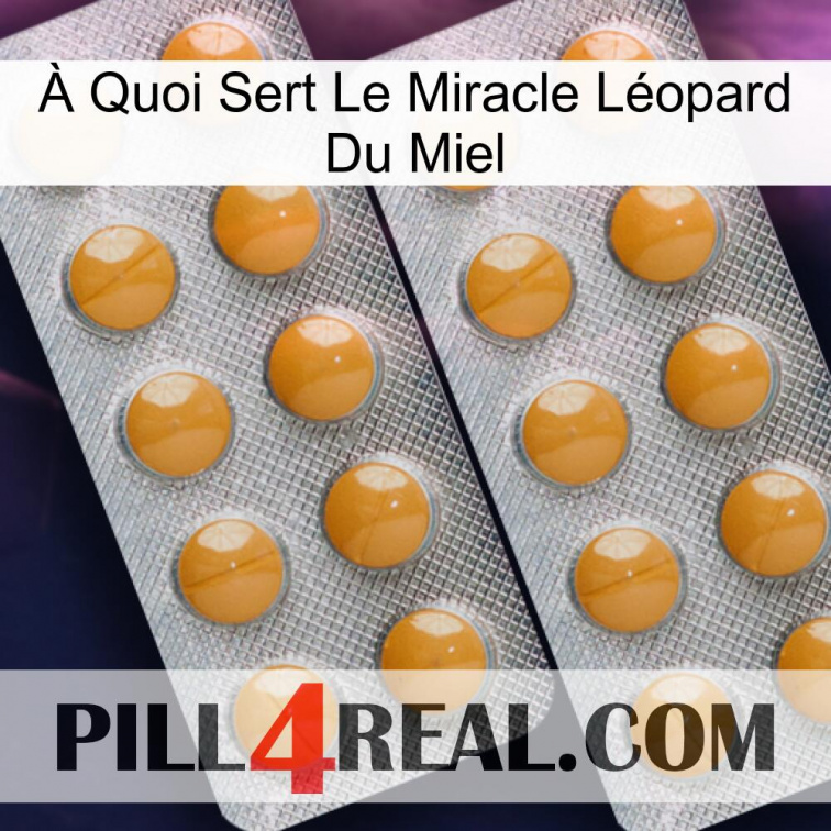 À Quoi Sert Le Miracle Léopard Du Miel levitra2